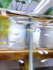 sub_image_text_4